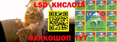 гашик Славгород