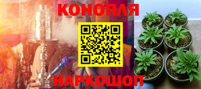 гашик Славгород