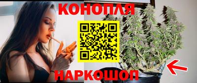 гашик Славгород