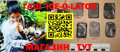 гашик Славгород