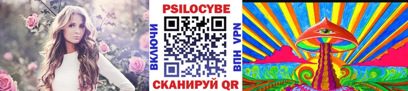 хочу   Шумерля  Псилоцибиновые грибы Magic Shrooms 