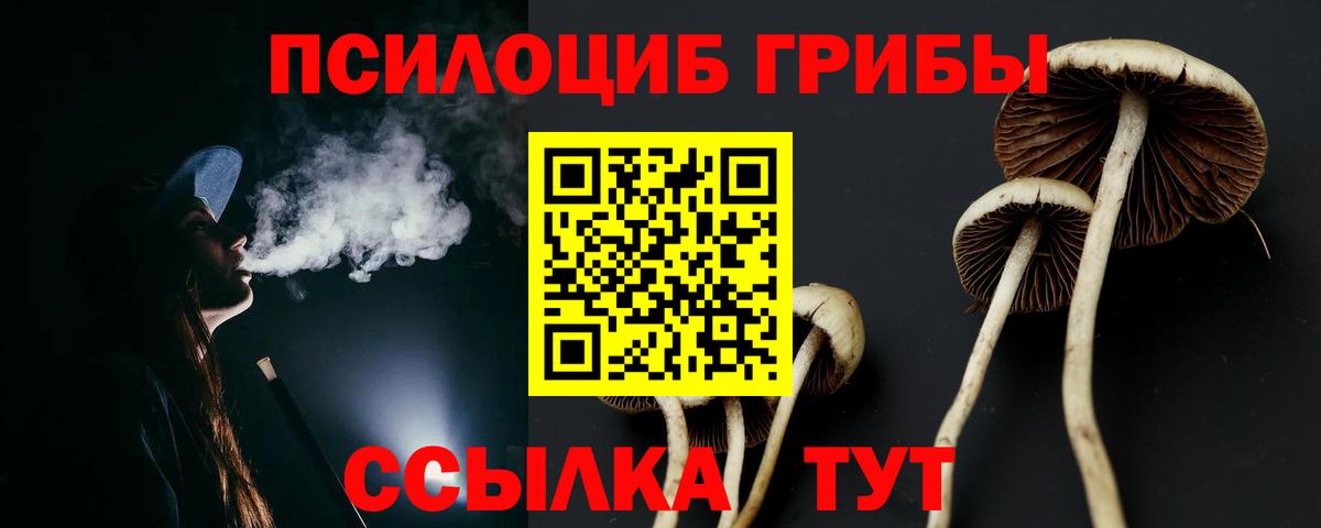 Шумерля  Галлюциногенные грибы GOLDEN TEACHER  Вход с VPN 